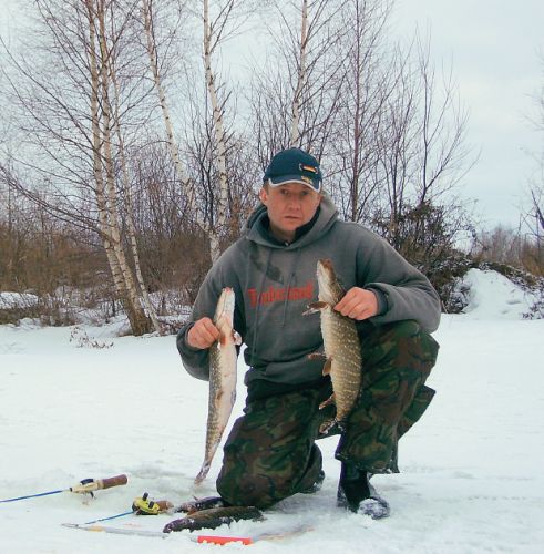 зимние щуки