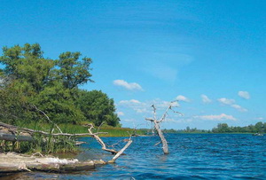 закоряженный водоем