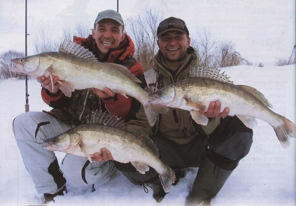 Зимние рыболовные удочки: ТОП — 10 лучших удильников